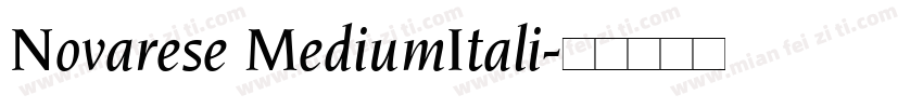Novarese MediumItali字体转换